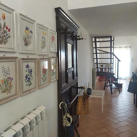 Civico 5 Apartamento Asís